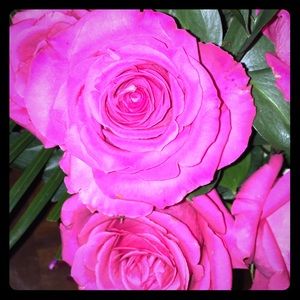 Meet your Posher, Kylie